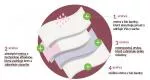 Organyc Menstruační kalhotky z bio bavlny - ultraabsorpční L